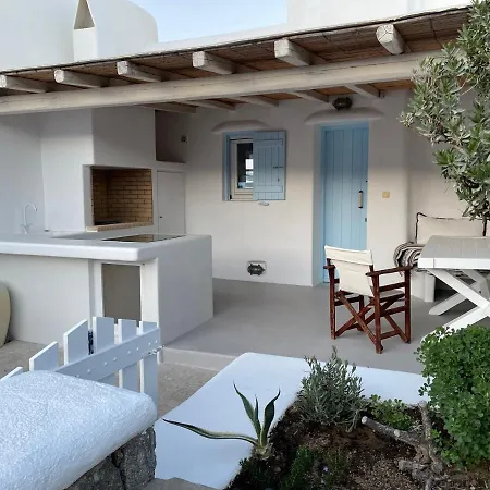 Anasa Private Pool & Jacuzzi 8pax At Panormos * פנורמוס מיקונוס